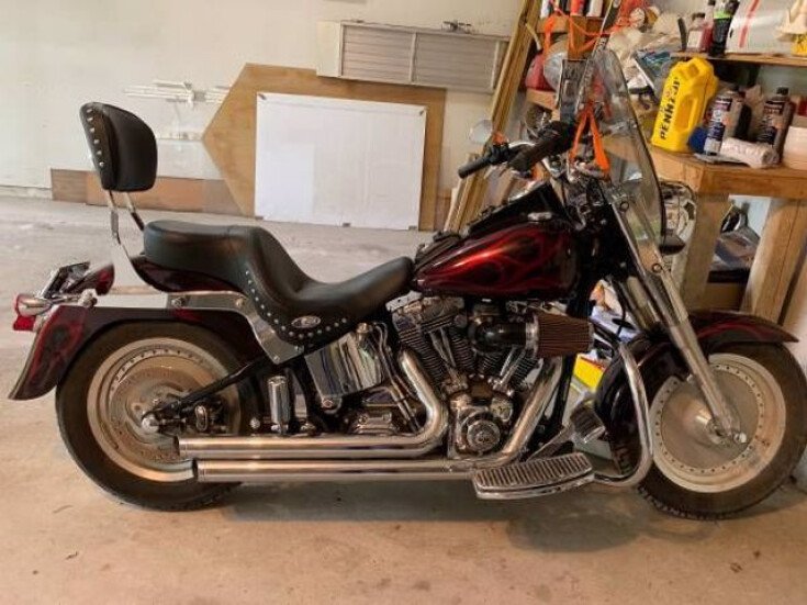 Thumbnail Photo undefined for 2003 Harley-Davidson Softail