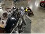 2003 Harley-Davidson Softail Standard Anniversary for sale 201223171