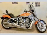 2003 Harley-Davidson V-Rod Anniversary