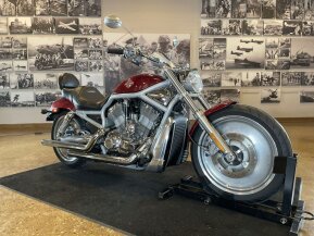 2003 Harley-Davidson V-Rod Anniversary for sale 201289285