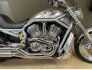 2003 Harley-Davidson V-Rod Anniversary for sale 201347512