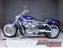 2003 Harley-Davidson V-Rod Anniversary for sale 201376041