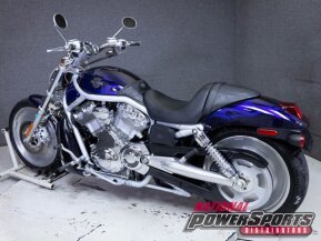 2003 Harley-Davidson V-Rod Anniversary for sale 201376041