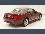 Thumbnail Photo 6 for 2004 Ford Mustang GT Convertible