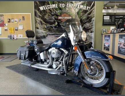 Thumbnail Photo undefined for 2004 Harley-Davidson Softail