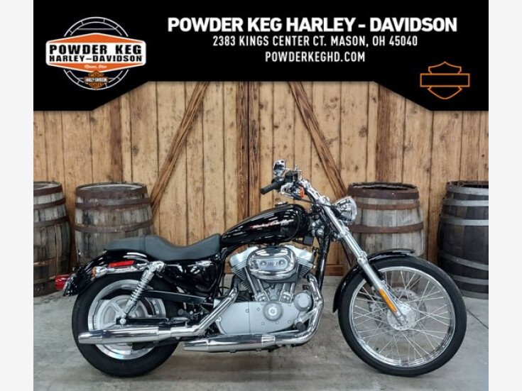Photo for 2004 Harley-Davidson Sportster 883 Custom
