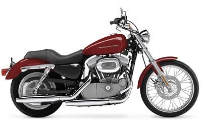 2004 sportster deals 883 custom