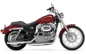 2004 Harley-Davidson Sportster 883 Custom for sale 201361845