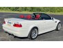 2005 BMW M3 Convertible for sale 101778188