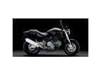 2005 Ducati Monster 600 620 Dark specifications