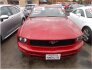 2005 Ford Mustang for sale 101655448