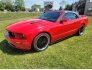 2005 Ford Mustang for sale 101659091