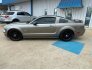 2005 Ford Mustang GT Premium for sale 101731215