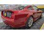 2005 Ford Mustang for sale 101733866