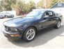 2005 Ford Mustang for sale 101788107