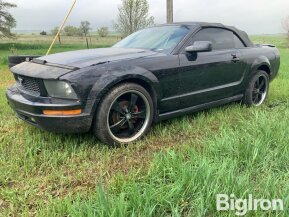 2005 Ford Mustang for sale 101890339