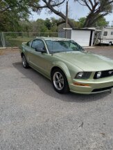 2005 Ford Mustang Coupe for sale 102025280