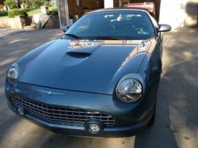 2005 Ford Thunderbird for sale 100814758