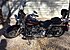 2005 Harley-Davidson Softail for sale 200541583