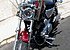 2005 Harley-Davidson Sportster for sale 200591731