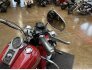 2005 Harley-Davidson Softail for sale 201379146