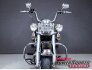 2005 Harley-Davidson Softail for sale 201379573