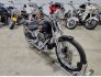 2005 Harley-Davidson Softail for sale 201385226