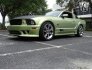 2006 Ford Mustang for sale 101729087