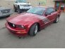 2006 Ford Mustang for sale 101742188