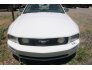2006 Ford Mustang for sale 101750946