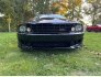 2006 Ford Mustang Saleen for sale 101835641