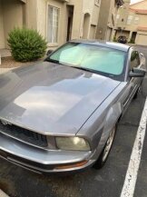 2006 Ford Mustang for sale 101699163