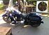 2006 Harley-Davidson Softail for sale 200712029