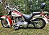 2006 Harley-Davidson Softail for sale 200821397