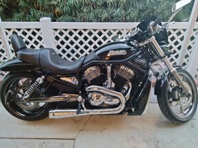 2006 Harley-Davidson Night Rod Special for sale 201394278