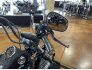 2006 Harley-Davidson Softail for sale 201353768