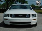 Thumbnail Photo 2 for 2007 Ford Mustang GT