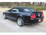2007 Ford Mustang Shelby GT500 Convertible for sale 101443933