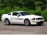 2007 Ford Mustang for sale 101783695