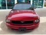 2007 Ford Mustang for sale 101808561