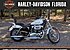2007 Harley-Davidson Sportster for sale 200810224