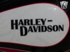 Thumbnail Photo 20 for 2007 Harley-Davidson Softail