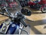 2007 Harley-Davidson Softail for sale 201380235