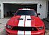 2008 Ford Mustang Shelby GT500 Coupe for sale 101173190