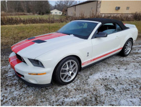 2008 Ford Mustang Shelby GT500 Convertible for sale 101989627