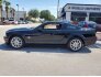 2008 Ford Mustang for sale 101494730