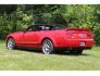 2008 Ford Mustang Shelby GT500 Convertible for sale 101730275