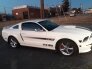2008 Ford Mustang GT for sale 101735885