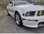 2008 Ford Mustang GT for sale 101735885