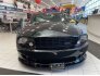 2008 Ford Mustang for sale 101736321